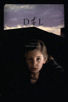 Dél
