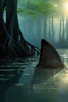 Sharks-of-the-Dead-Zone