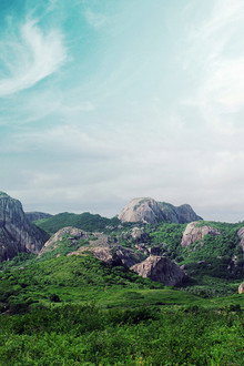 Wild Brazil