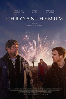Chrysanthemum
