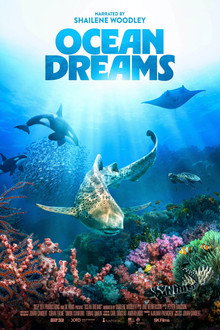 Ocean Dreams