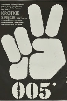 Krótkie Spięcie