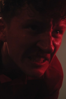 When Dogs Bite