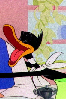 Nasty Quacks