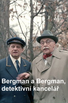 Bergman a Bergman, detektivní kancelář