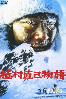 Lost in the Wilderness