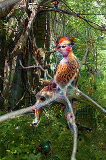 Rascunho automático