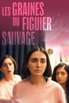La semilla de la higuera sagrada | Trailer español | 17 enero 2025 cines