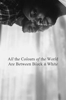 All the Colours of the World Are Between Black and White movie poster