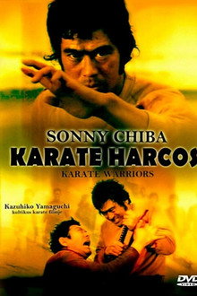 Karate harcos