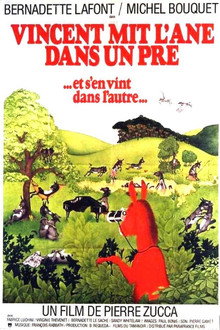 Vincent Put the Donkey in a Meadow (And Went Into the Other)