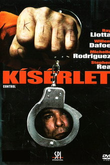 Kísérlet