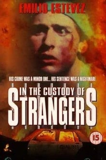 Poster do filme In the Custody of Strangers