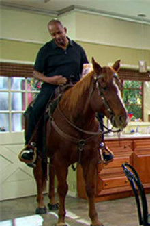 Anger Management - Season 2