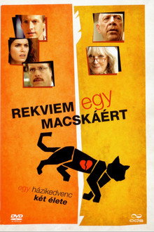 Rekviem egy macskáért