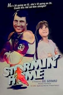 Poster do filme Stormin' Home
