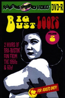 Big Bust Loops Volume 2