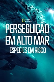 Poster do filme Perseguição em Alto Mar - Espécies em Risco