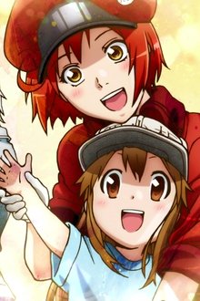 Cells-at-Work!