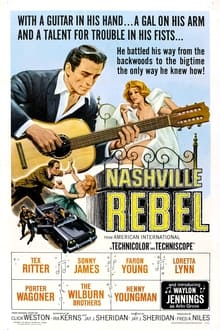 Poster do filme Nashville Rebel