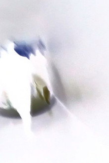 세상은 그렇게 끝난다.