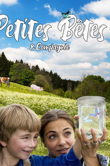 Petites bêtes et compagnie