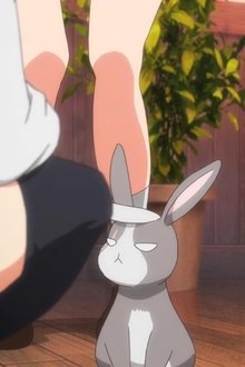 2nd Bunny: Grey Rabbit and Cinderella