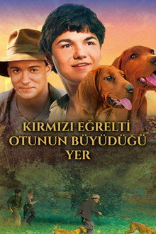 Kırmızı Eğrelti Otunun Büyüdüğü Yer