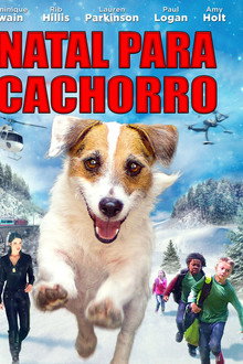 Natal Para Cachorro