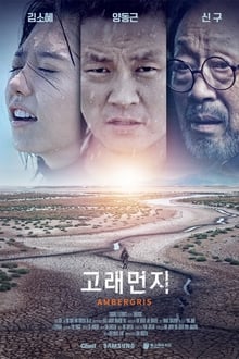 고래먼지