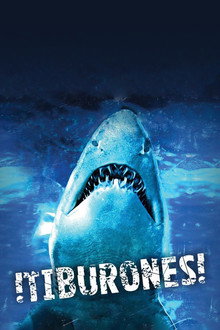 Dam Sharks!