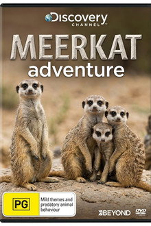 Meerkat Adventure