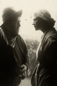 The Thief's Wife