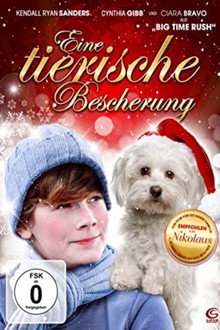Eine tierische Bescherung - My Dog's Christmas Miracle