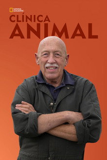 Temporada 19