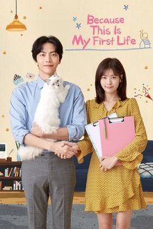 Because This Is My First Life tv show poster