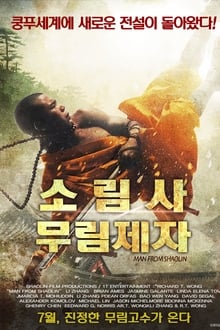 Man from Shaolin movie poster