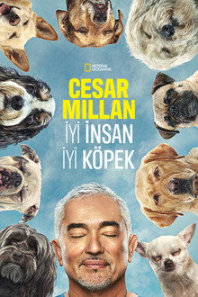 Sezon 1