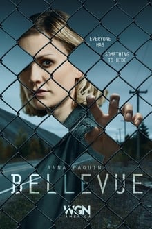 Bellevue tv show poster