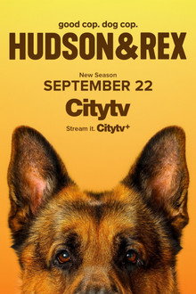Temporada 8