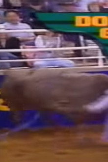 Don Gay's Worst Wrecks at Mesquite Rodeo 1993