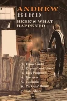 Poster do filme Andrew Bird: Here's What Happened