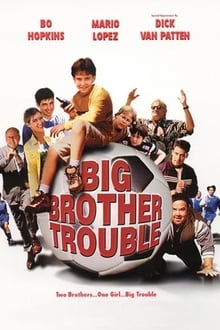 Poster do filme Big Brother Trouble