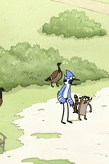 A Bunch of Full Grown Geese