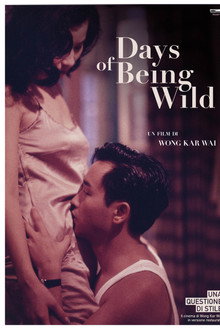 Days of Being Wild