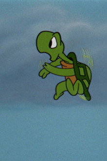 The Flying Turtle