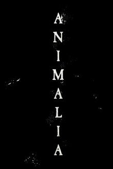 Animalia