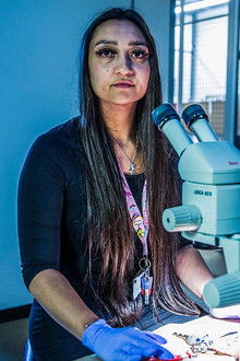 Forensics: The Real CSI - Season 2