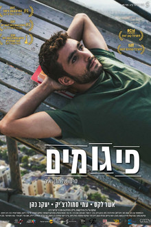 פיגומים