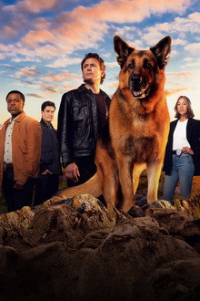 Season 9